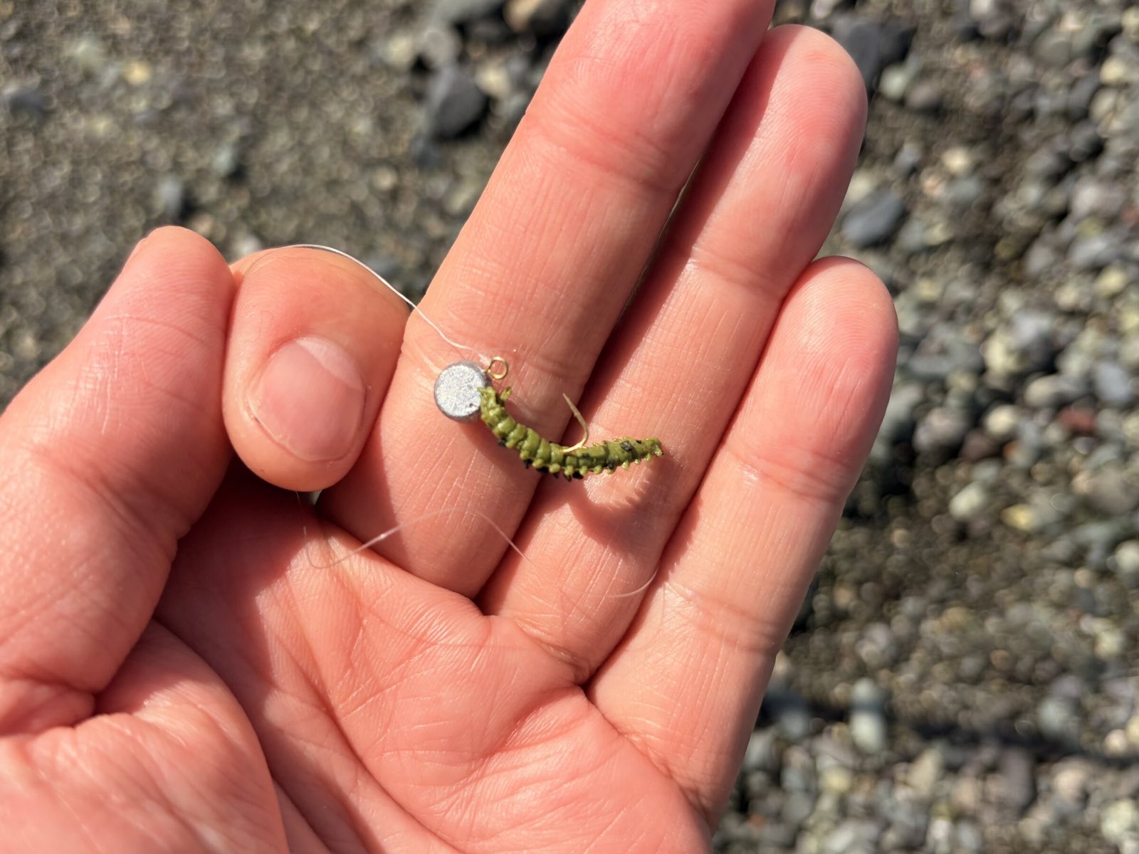 ジグヘッドにパワーイソメ