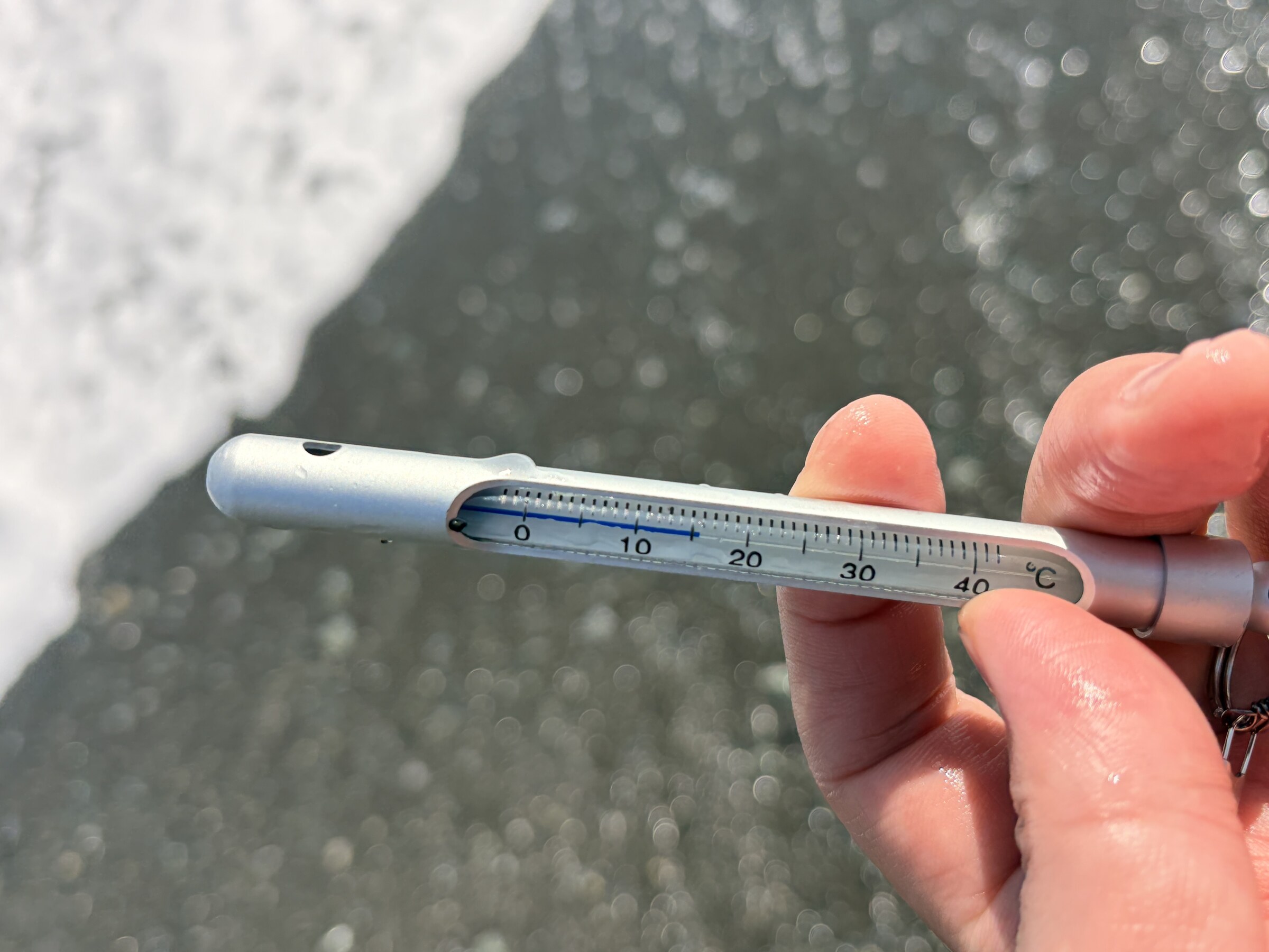 海水温15.6度