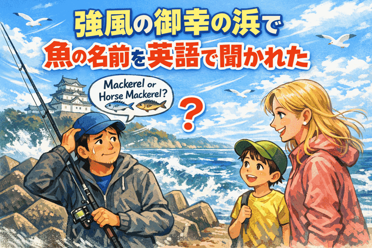 魚の名前を英語で言ってみよう！【御幸の浜編】