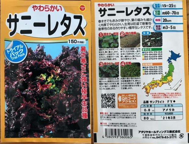 サニーレタス・カラシナ・コマツナ・ミズナの4種を水耕栽培してみた