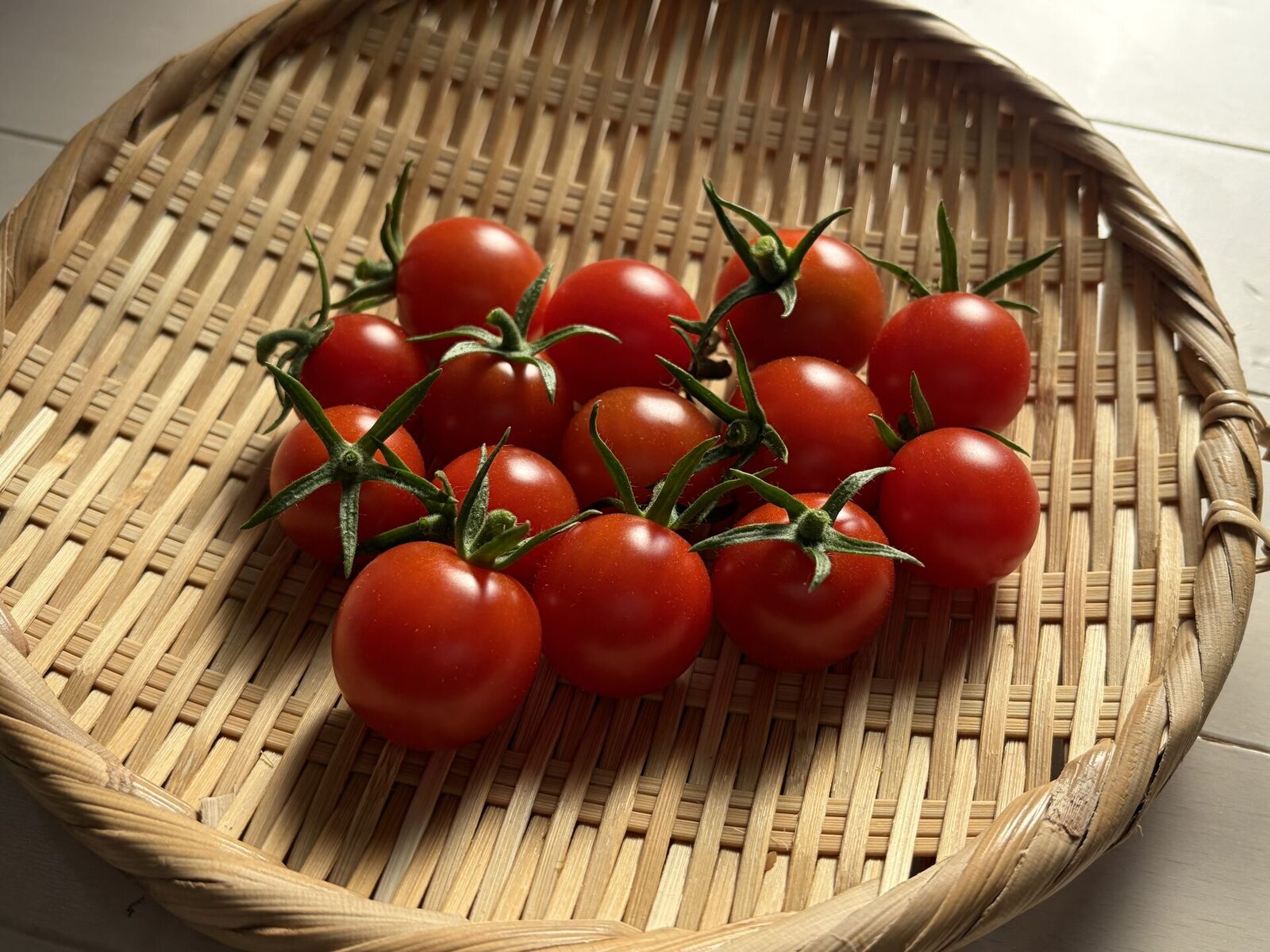 ざるに載せた最初のまとまったミニトマト収穫