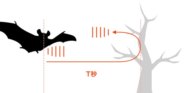 こうもりは超音波で「見ている」