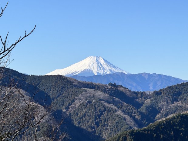 富士見台から眺める富士山