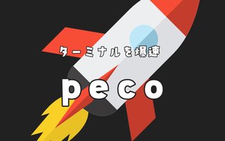 ターミナル操作をpecoで爆速に！コマンド履歴とディレクトリ移動