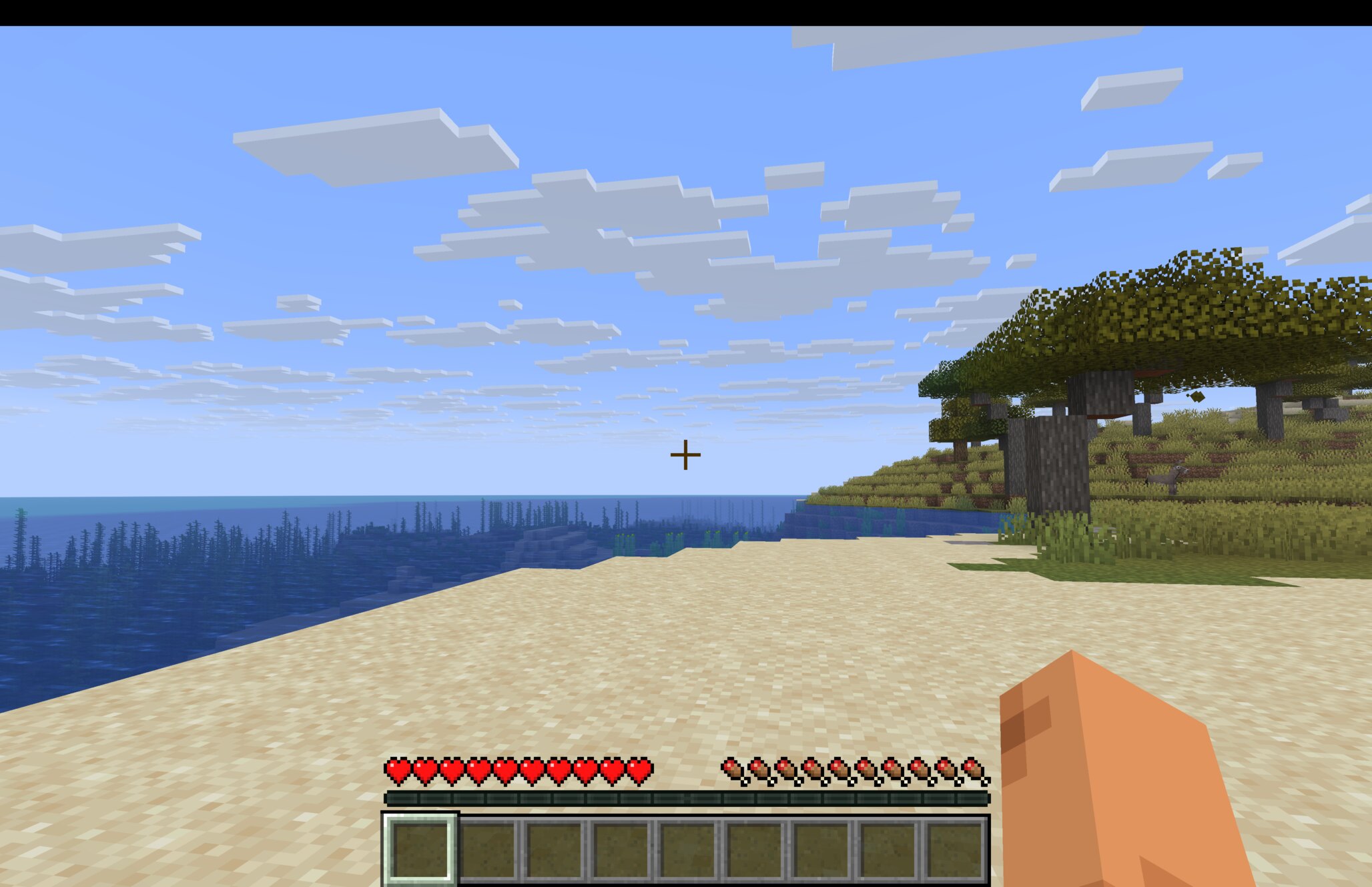 久しぶりに一から始めたマイクラの砂浜のような風景