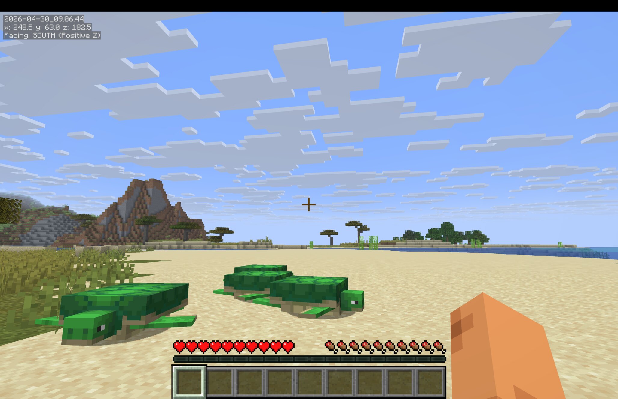 MiniHUDなどのModを導入したMinecraftの画面
